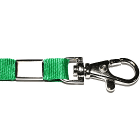 Зеленый шнурок