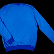 Синий свитшот вид со спины