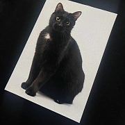 Черная кошка на белом квадрате - цифровая печать